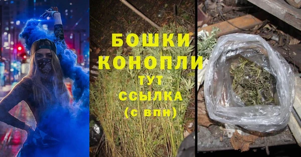 дмт Пестово