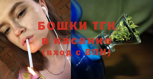 дмт Пестово