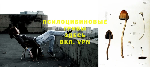 mix Пересвет