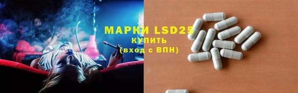 гашик Осинники