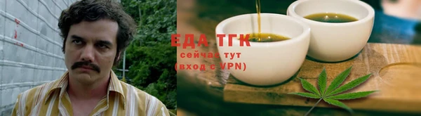 гашик Осинники