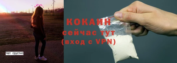 mix Пересвет