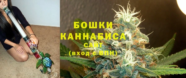 гашик Осинники