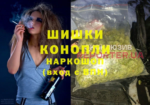 дмт Пестово