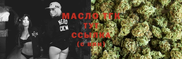 дмт Пестово