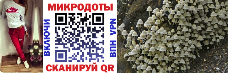 Галлюциногенные грибы MAGIC MUSHROOMS  Купить  Суджа