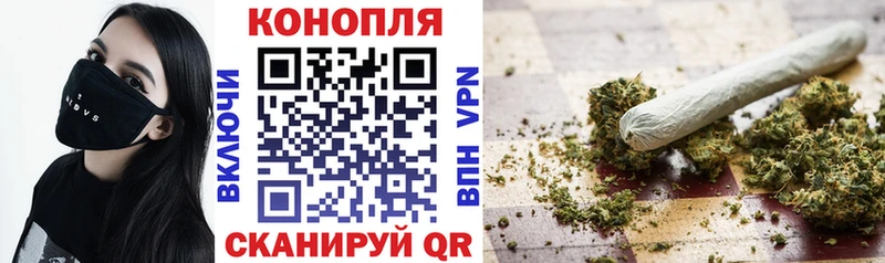Канабис сатива  Купить  Суджа 